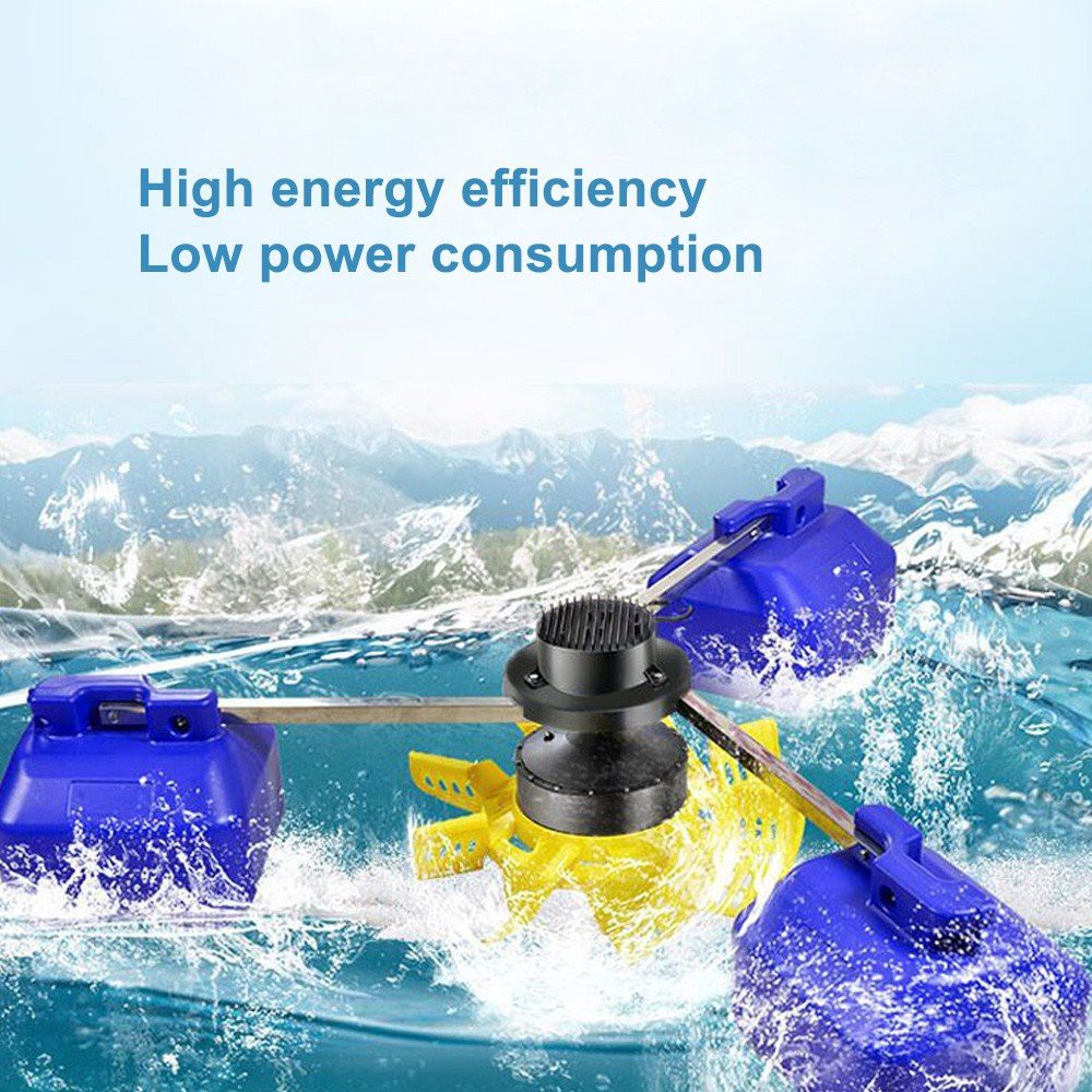 product-1000-1000 002