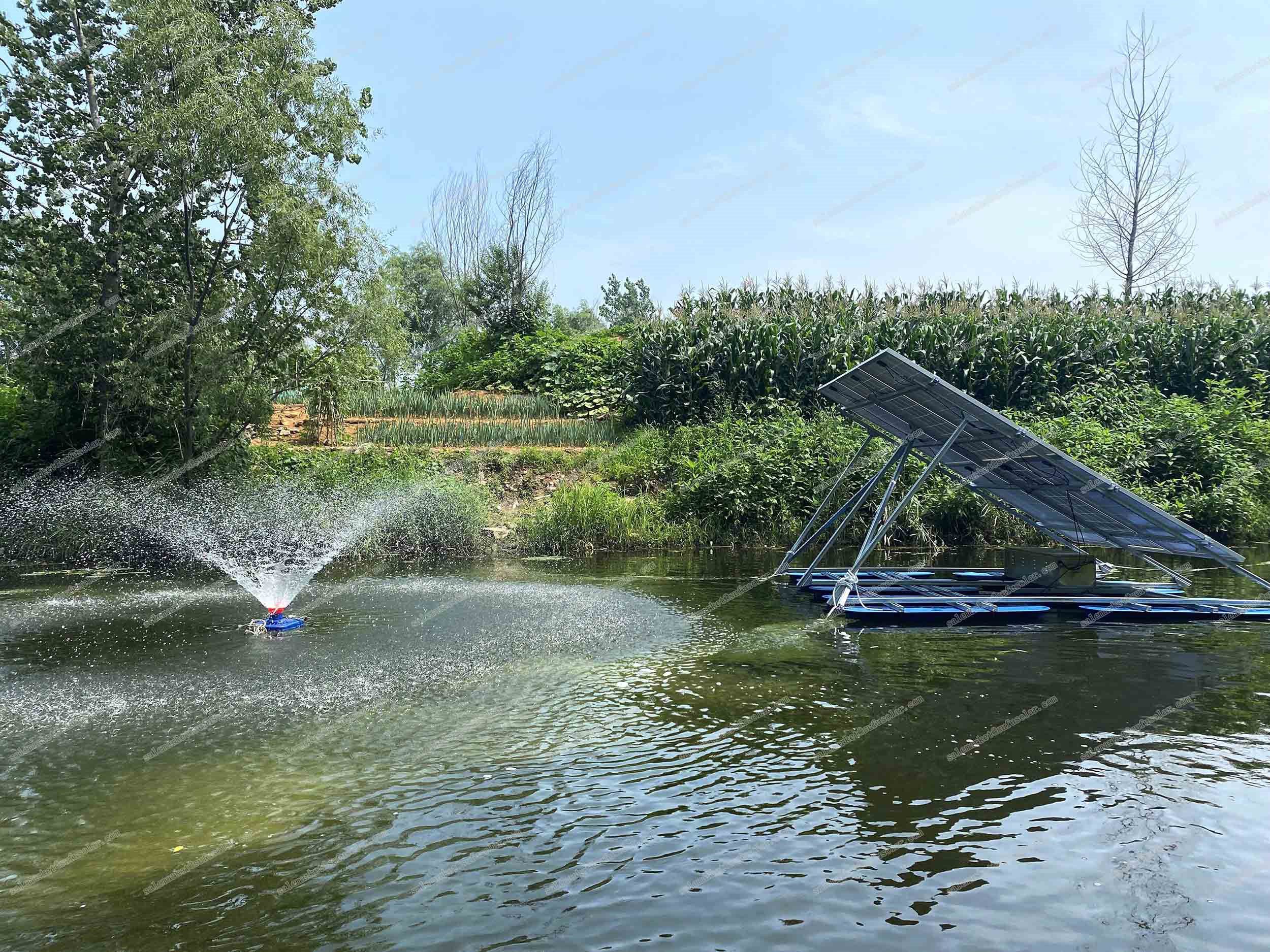 product-1000-750 9-1